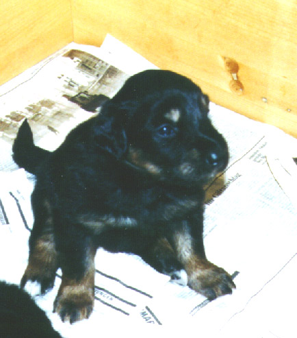 My first day with eyes open