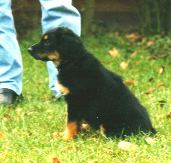 Cando 8 weeks old