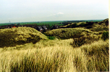 Schoorl Schoorl
